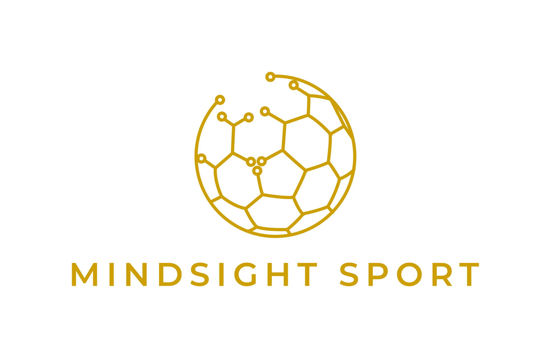 Mindsight Sport