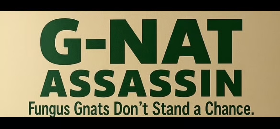 Gnat Assassin