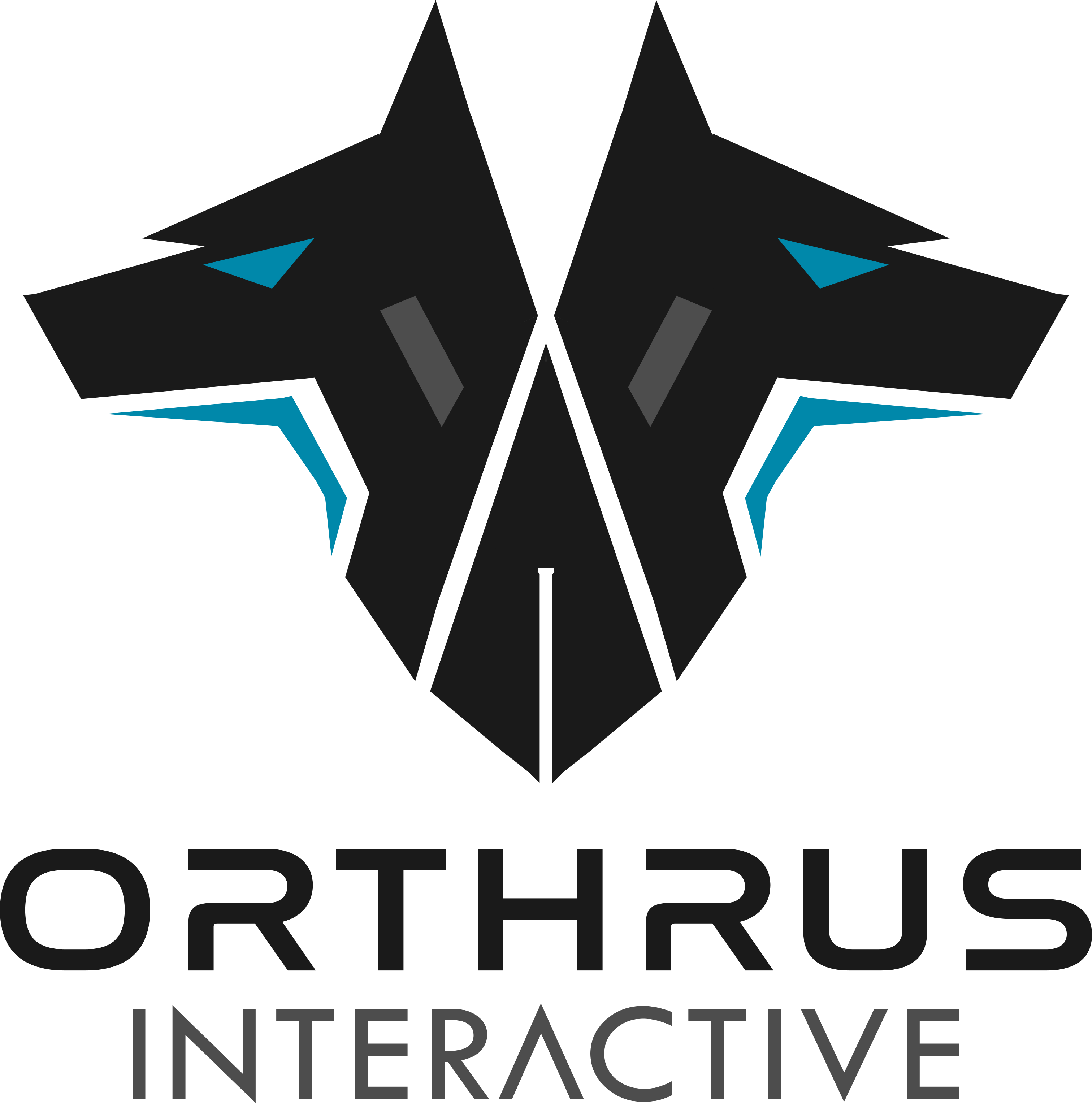Orthrus Interactive LLC