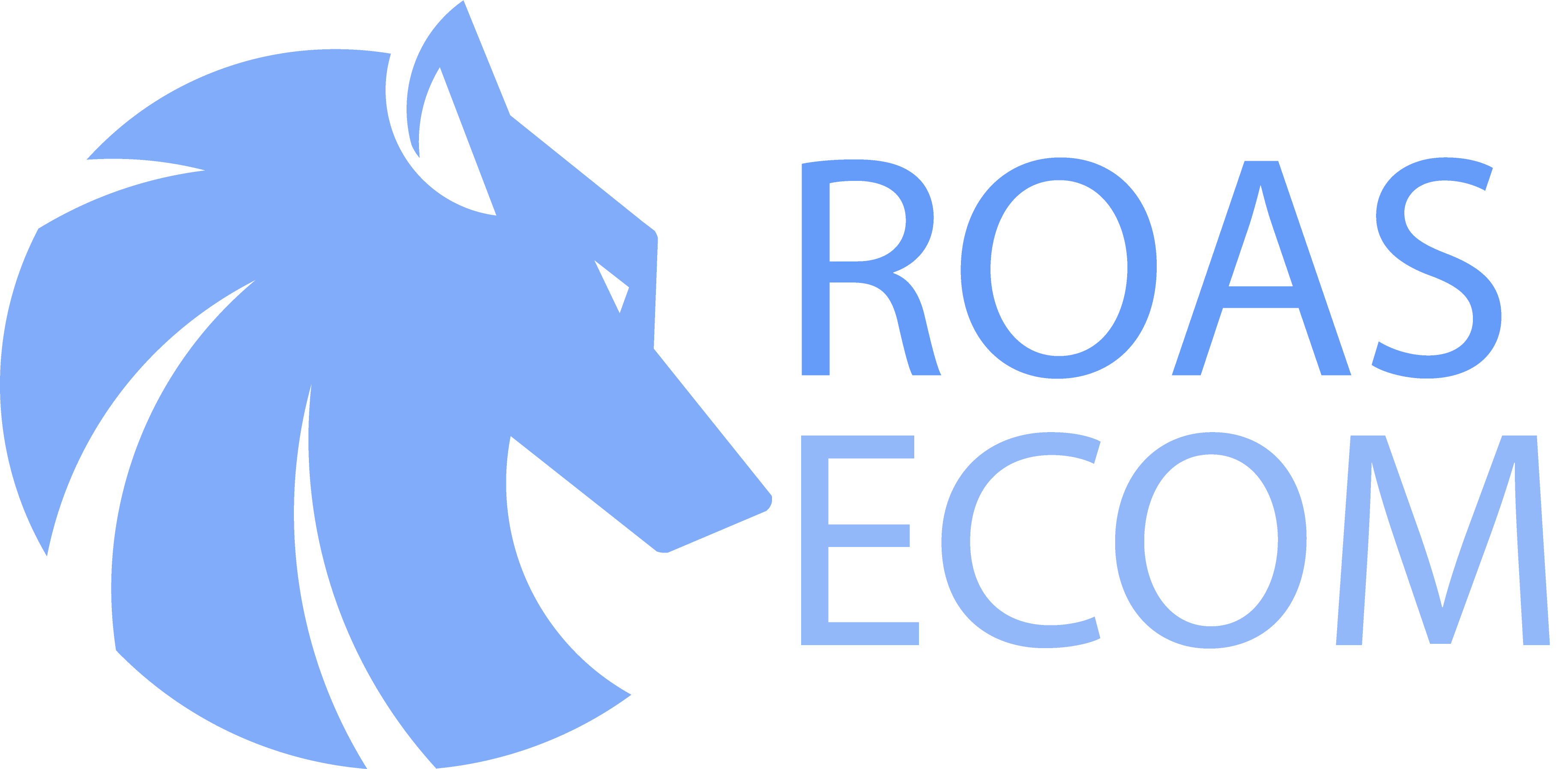 E-commerce Mentoring