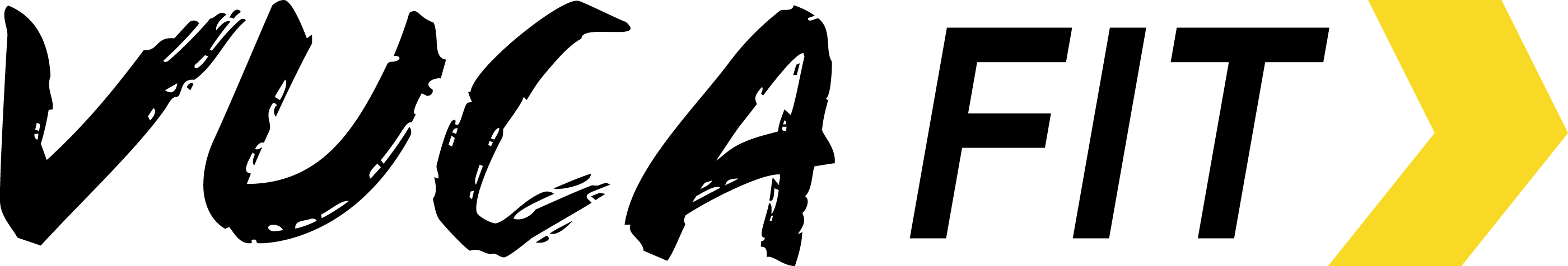 VUCA Fit