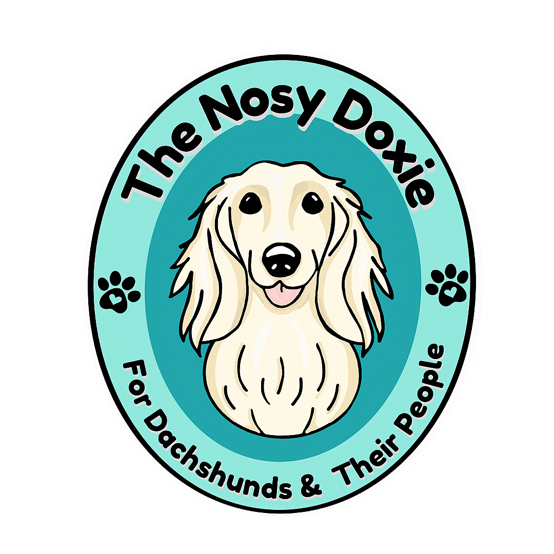 The Nosy Doxie